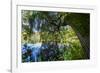 Autumnal Broad-Leaved Tree in the Lake-Falk Hermann-Framed Photographic Print