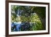 Autumnal Broad-Leaved Tree in the Lake-Falk Hermann-Framed Photographic Print