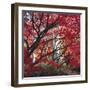 Autumnal Colours I-Bill Philip-Framed Giclee Print