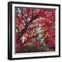 Autumnal Colours I-Bill Philip-Framed Giclee Print