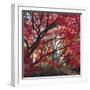 Autumnal Colours I-Bill Philip-Framed Giclee Print