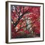 Autumnal Colours I-Bill Philip-Framed Giclee Print