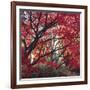 Autumnal Colours I-Bill Philip-Framed Giclee Print