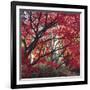 Autumnal Colours I-Bill Philip-Framed Giclee Print