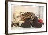 Autumnal Decoration with Hearts from Cord Material-Andrea Haase-Framed Photographic Print