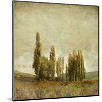 Autumnal Feelings-Carlos Casamayor-Mounted Art Print