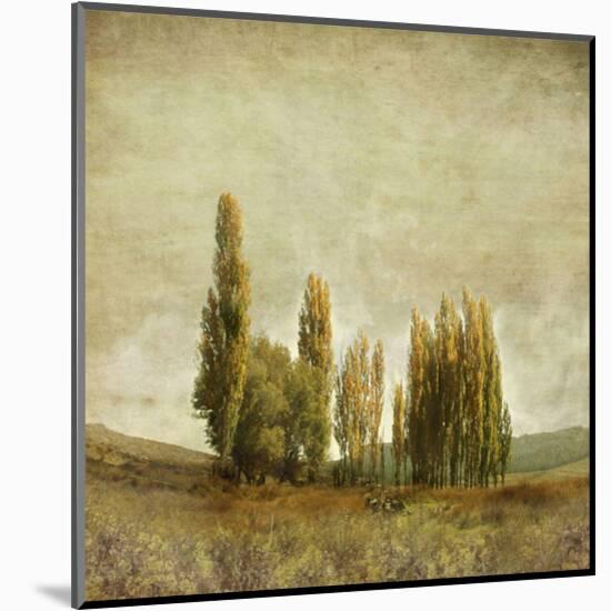 Autumnal Feelings-Carlos Casamayor-Mounted Art Print