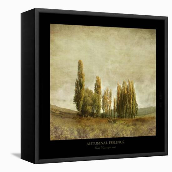 Autumnal Feelings-Carlos Casamayor-Framed Stretched Canvas