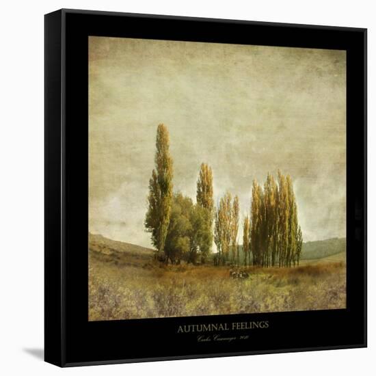 Autumnal Feelings-Carlos Casamayor-Framed Stretched Canvas