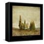 Autumnal Feelings-Carlos Casamayor-Framed Stretched Canvas