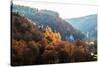 Autumnal Forest and White Rock,Ojcowski National Park, Ojcow, Poland-Curioso Travel Photography-Stretched Canvas