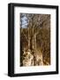 Autumnal Forest and White Rock,Ojcowski National Park, Ojcow, Poland-Curioso Travel Photography-Framed Photographic Print