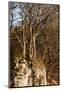 Autumnal Forest and White Rock,Ojcowski National Park, Ojcow, Poland-Curioso Travel Photography-Mounted Photographic Print