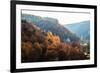 Autumnal Forest and White Rock,Ojcowski National Park, Ojcow, Poland-Curioso Travel Photography-Framed Photographic Print