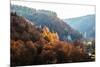 Autumnal Forest and White Rock,Ojcowski National Park, Ojcow, Poland-Curioso Travel Photography-Mounted Photographic Print