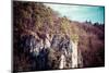 Autumnal Forest and White Rock,Ojcowski National Park, Ojcow, Poland-Curioso Travel Photography-Mounted Photographic Print