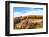 Autumnal Forest and White Rock,Ojcowski National Park, Ojcow, Poland-Curioso Travel Photography-Framed Photographic Print