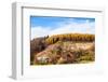 Autumnal Forest and White Rock,Ojcowski National Park, Ojcow, Poland-Curioso Travel Photography-Framed Photographic Print