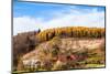 Autumnal Forest and White Rock,Ojcowski National Park, Ojcow, Poland-Curioso Travel Photography-Mounted Photographic Print