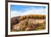 Autumnal Forest and White Rock,Ojcowski National Park, Ojcow, Poland-Curioso Travel Photography-Framed Photographic Print