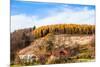 Autumnal Forest and White Rock,Ojcowski National Park, Ojcow, Poland-Curioso Travel Photography-Mounted Photographic Print