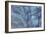 Autumnal forest, Kastel-Staadt, Rhineland-Palatinate (Rheinland-Pfalz), Germany, Europe-Hans-Peter Merten-Framed Photographic Print