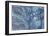 Autumnal forest, Kastel-Staadt, Rhineland-Palatinate (Rheinland-Pfalz), Germany, Europe-Hans-Peter Merten-Framed Photographic Print