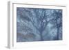 Autumnal forest, Kastel-Staadt, Rhineland-Palatinate (Rheinland-Pfalz), Germany, Europe-Hans-Peter Merten-Framed Photographic Print