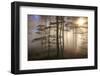 Autumnal forest near Kastel-Staadt, Rhineland-Palatinate, Germany, Europe-Hans-Peter Merten-Framed Photographic Print