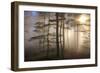 Autumnal forest near Kastel-Staadt, Rhineland-Palatinate, Germany, Europe-Hans-Peter Merten-Framed Photographic Print