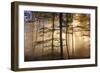 Autumnal forest near Kastel-Staadt, Rhineland-Palatinate, Germany, Europe-Hans-Peter Merten-Framed Photographic Print