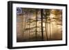 Autumnal forest near Kastel-Staadt, Rhineland-Palatinate, Germany, Europe-Hans-Peter Merten-Framed Photographic Print