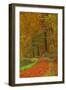 Autumnal forest near Kastel-Staadt, Rhineland-Palatinate, Germany, Europe-Hans-Peter Merten-Framed Photographic Print