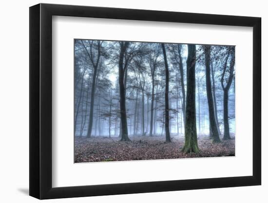 Autumnal forest, Rhineland-Palatinate (Rheinland-Pfalz), Germany, Europe-Hans-Peter Merten-Framed Photographic Print