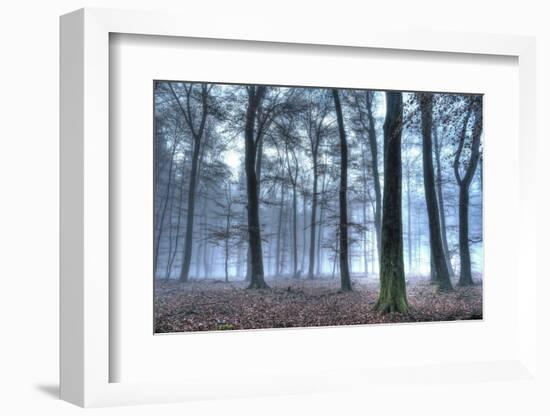 Autumnal forest, Rhineland-Palatinate (Rheinland-Pfalz), Germany, Europe-Hans-Peter Merten-Framed Photographic Print