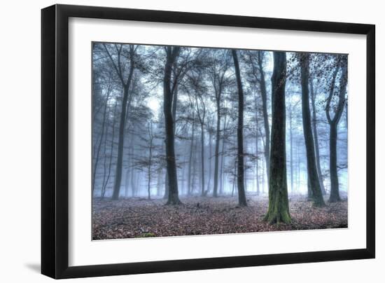 Autumnal forest, Rhineland-Palatinate (Rheinland-Pfalz), Germany, Europe-Hans-Peter Merten-Framed Photographic Print