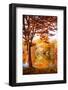 Autumnal Frame-Philippe Sainte-Laudy-Framed Photographic Print