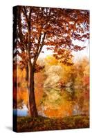 Autumnal Frame-Philippe Sainte-Laudy-Stretched Canvas