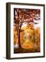 Autumnal Frame-Philippe Sainte-Laudy-Framed Photographic Print