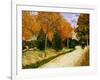 'Autumnal Garden' or 'The Public Park', 1888-Vincent van Gogh-Framed Giclee Print