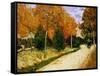 'Autumnal Garden' or 'The Public Park', 1888-Vincent van Gogh-Framed Stretched Canvas