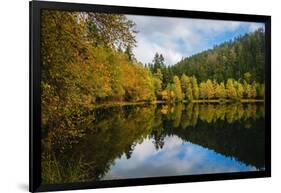 Autumnal Geometry-Philippe Sainte-Laudy-Framed Photographic Print