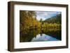 Autumnal Geometry-Philippe Sainte-Laudy-Framed Photographic Print