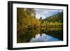 Autumnal Geometry-Philippe Sainte-Laudy-Framed Photographic Print