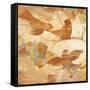 Autumnal Glow I-Albena Hristova-Framed Stretched Canvas