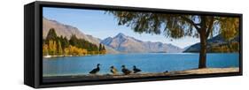 Autumnal Lake Wakatipu at Queenstown, Otago, South Island, New Zealand, Pacific-Matthew Williams-Ellis-Framed Stretched Canvas