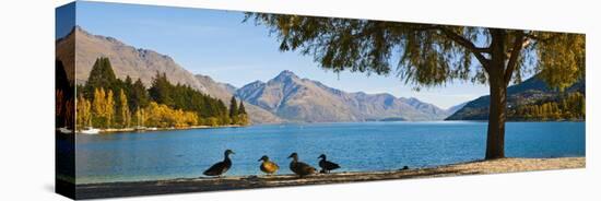 Autumnal Lake Wakatipu at Queenstown, Otago, South Island, New Zealand, Pacific-Matthew Williams-Ellis-Stretched Canvas