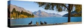 Autumnal Lake Wakatipu at Queenstown, Otago, South Island, New Zealand, Pacific-Matthew Williams-Ellis-Stretched Canvas