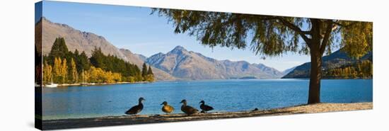 Autumnal Lake Wakatipu at Queenstown, Otago, South Island, New Zealand, Pacific-Matthew Williams-Ellis-Stretched Canvas