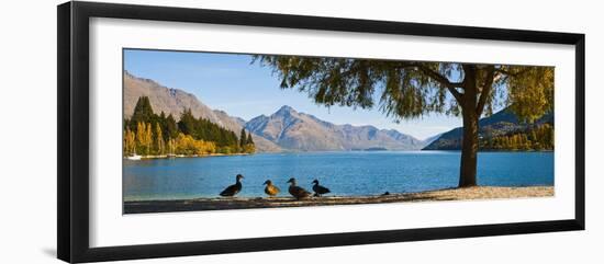 Autumnal Lake Wakatipu at Queenstown, Otago, South Island, New Zealand, Pacific-Matthew Williams-Ellis-Framed Premium Photographic Print